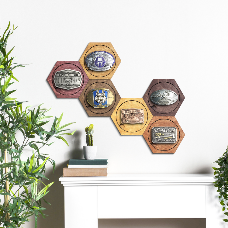 Honeycomb hexagonal modular holders for medals