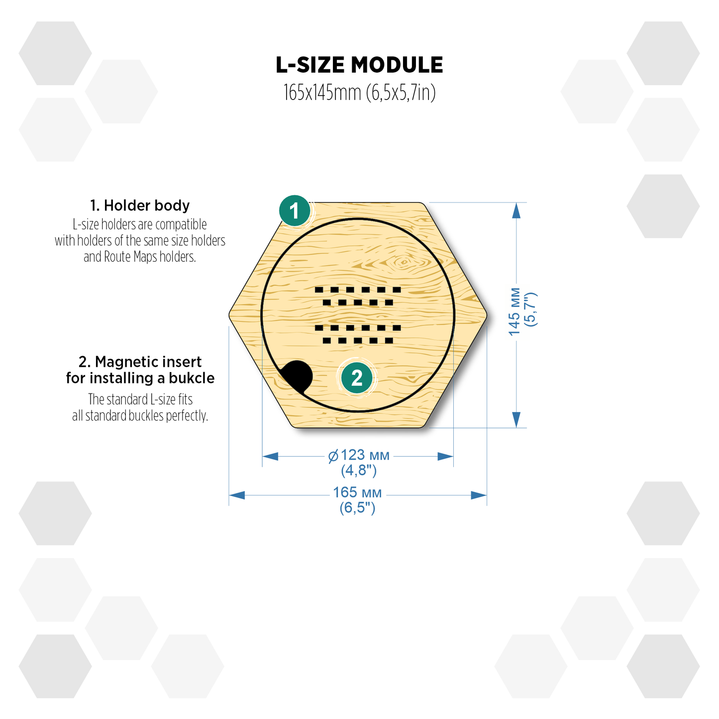 Oregon Pine modular hexagon Buckle Holder Display