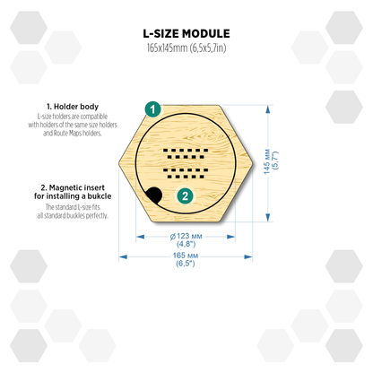 Oregon Pine modular hexagon Buckle Holder Display